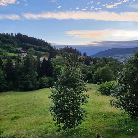 Mondego, Peaceful And Comfortable * Gérardmer