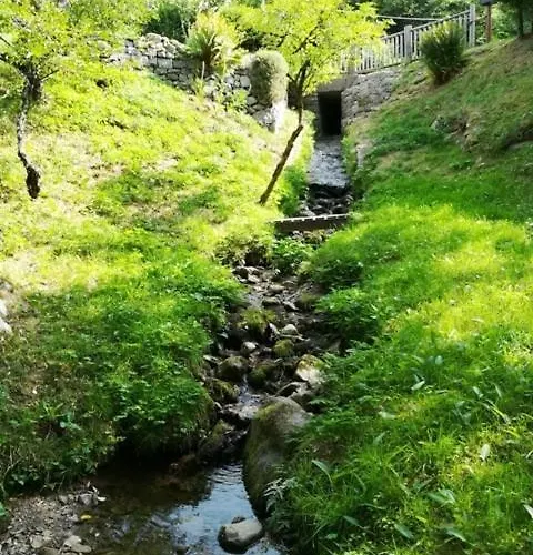 Mondego, Peaceful And Comfortable Gérardmer