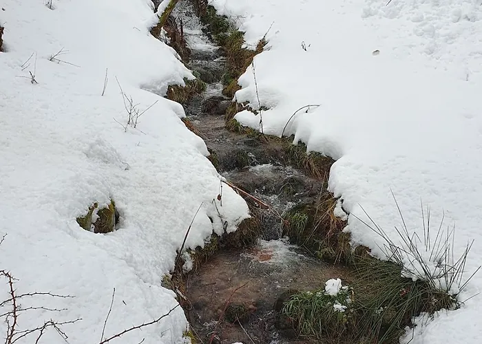 Mondego, Peaceful And Comfortable Chalet Gérardmer