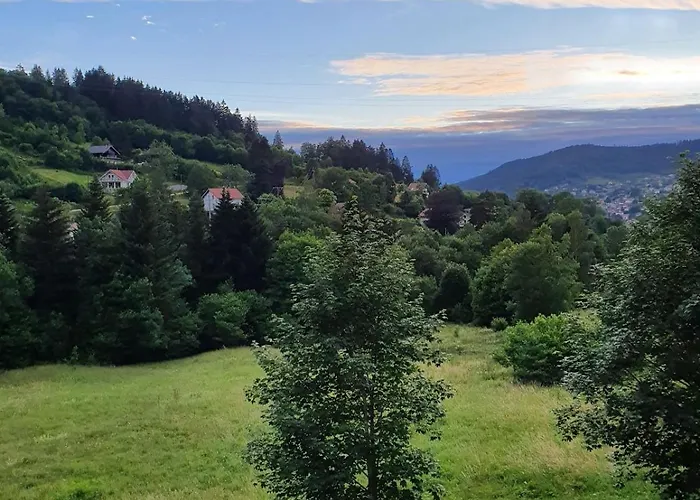 Mondego, Peaceful And Comfortable * Gérardmer